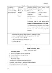 UAB  „Elecar“ verslo planas 4 puslapis