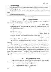 UAB  „Elecar“ verslo planas 5 puslapis