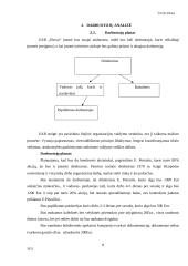 UAB  „Elecar“ verslo planas 8 puslapis