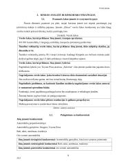 UAB  „Elecar“ verslo planas 9 puslapis
