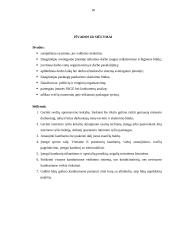 Praktikos ataskaita ,,Radisson" viešbutyje 18 puslapis