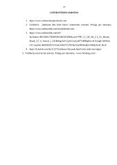 Praktikos ataskaita ,,Radisson" viešbutyje 19 puslapis