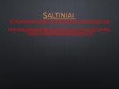 Vytauto Didžiojo karo muziejus 8 puslapis