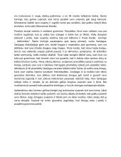 Ką verta paaukoti dėl svajonių 2 puslapis