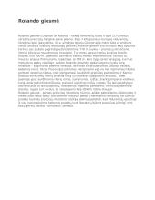 Rolando giesmės aprašymas