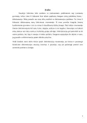 Diskriminacija visuomenėje 2 puslapis