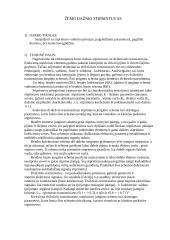 Žemo dažnio stiprintuvas 2 puslapis