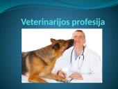 Veterinarijos profesija 1 puslapis