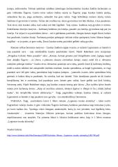 Žydų tema Lietuvių literatūroje: Icchoko Mero romane „Lygiosios trunka akimirką” 2 puslapis