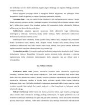 Darbo užmokesčio reguliavimas 12 puslapis