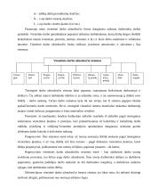 Darbo užmokesčio reguliavimas 9 puslapis