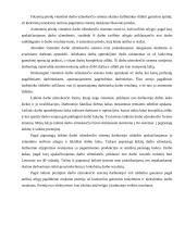 Darbo užmokesčio reguliavimas 10 puslapis
