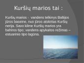 Kuršių marios - Didžiausia Baltijos jūros lagūna 2 puslapis