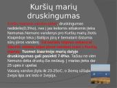 Kuršių marios - Didžiausia Baltijos jūros lagūna 11 puslapis