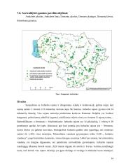 Jurbarko rajono reljefo ir kraštovaizdžio tyrimas 12 puslapis