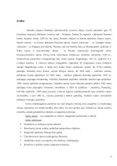 Jurbarko rajono reljefo ir kraštovaizdžio tyrimas 2 puslapis