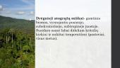 Drėgnieji atogrąžų miškai - augalija ir gyvūnija 2 puslapis