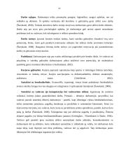 Darbuotojų motyvavimas įmonėje 17 puslapis