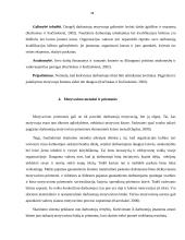 Darbuotojų motyvavimas įmonėje 18 puslapis