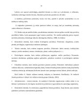 Darbuotojų motyvavimas įmonėje 19 puslapis