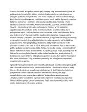 Ar gali sugrįžti romantikų idealizuoti praeities laikai? 2 puslapis