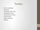 Meninė instaliacija 2 puslapis