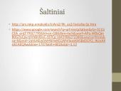 Meninė instaliacija 10 puslapis