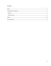 Analoginių baigiamojo darbo sistemų apžvalga 2 puslapis