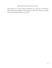 Analoginių baigiamojo darbo sistemų apžvalga 13 puslapis