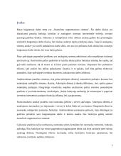 Analoginių baigiamojo darbo sistemų apžvalga 3 puslapis