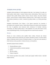 Analoginių baigiamojo darbo sistemų apžvalga 5 puslapis