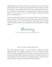 Analoginių baigiamojo darbo sistemų apžvalga 6 puslapis