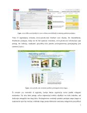 Analoginių baigiamojo darbo sistemų apžvalga 7 puslapis