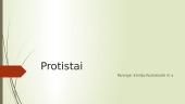 Kas yra protistai?