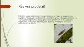 Kas yra protistai? 3 puslapis