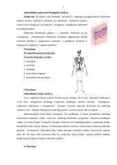 Anatomija - fiziologija 5 puslapis
