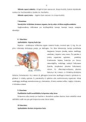 Anatomija - fiziologija 6 puslapis
