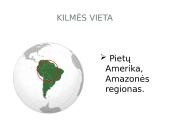 Kaučiukmedis - paplitimas, panaudojimas ir savybės 3 puslapis