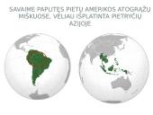 Kaučiukmedis - paplitimas, panaudojimas ir savybės 4 puslapis