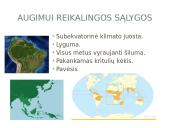 Kaučiukmedis - paplitimas, panaudojimas ir savybės 5 puslapis