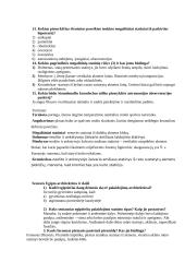 Ankstyvasis menas 2 puslapis