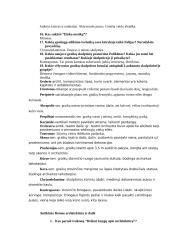 Ankstyvasis menas 5 puslapis