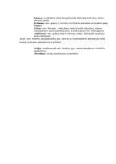 Ankstyvasis menas 8 puslapis