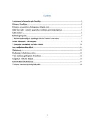  Kelionės į Braziliją organizavimas 2 puslapis