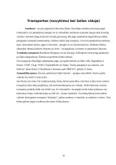  Kelionės į Braziliją organizavimas 11 puslapis