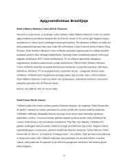  Kelionės į Braziliją organizavimas 12 puslapis