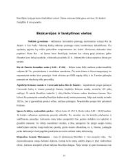  Kelionės į Braziliją organizavimas 15 puslapis