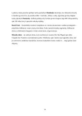  Kelionės į Braziliją organizavimas 17 puslapis