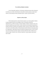  Kelionės į Braziliją organizavimas 18 puslapis