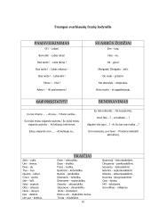  Kelionės į Braziliją organizavimas 20 puslapis